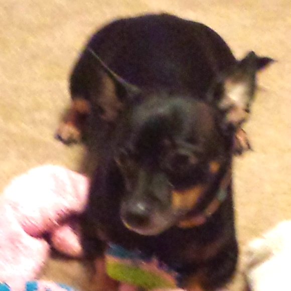 Meet your Posher, Pat - Picture 5 of 5